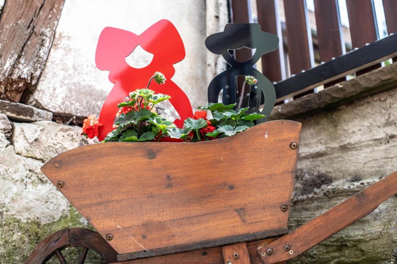Gite Le Coeur D'Alsace Boofzheim Εξωτερικό φωτογραφία