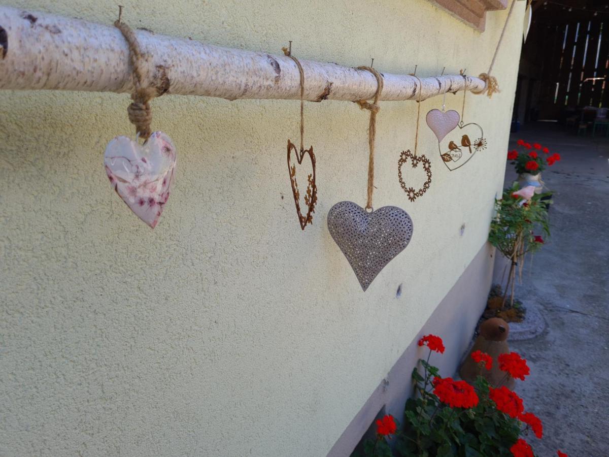 Gite Le Coeur D'Alsace Boofzheim Εξωτερικό φωτογραφία